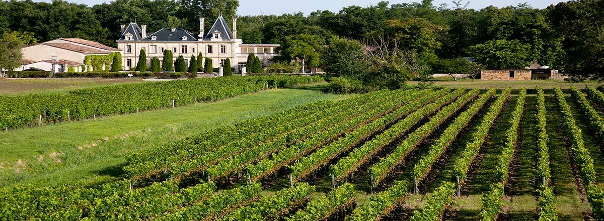 Chateau Meyre アヴァンサン エクステリア 写真