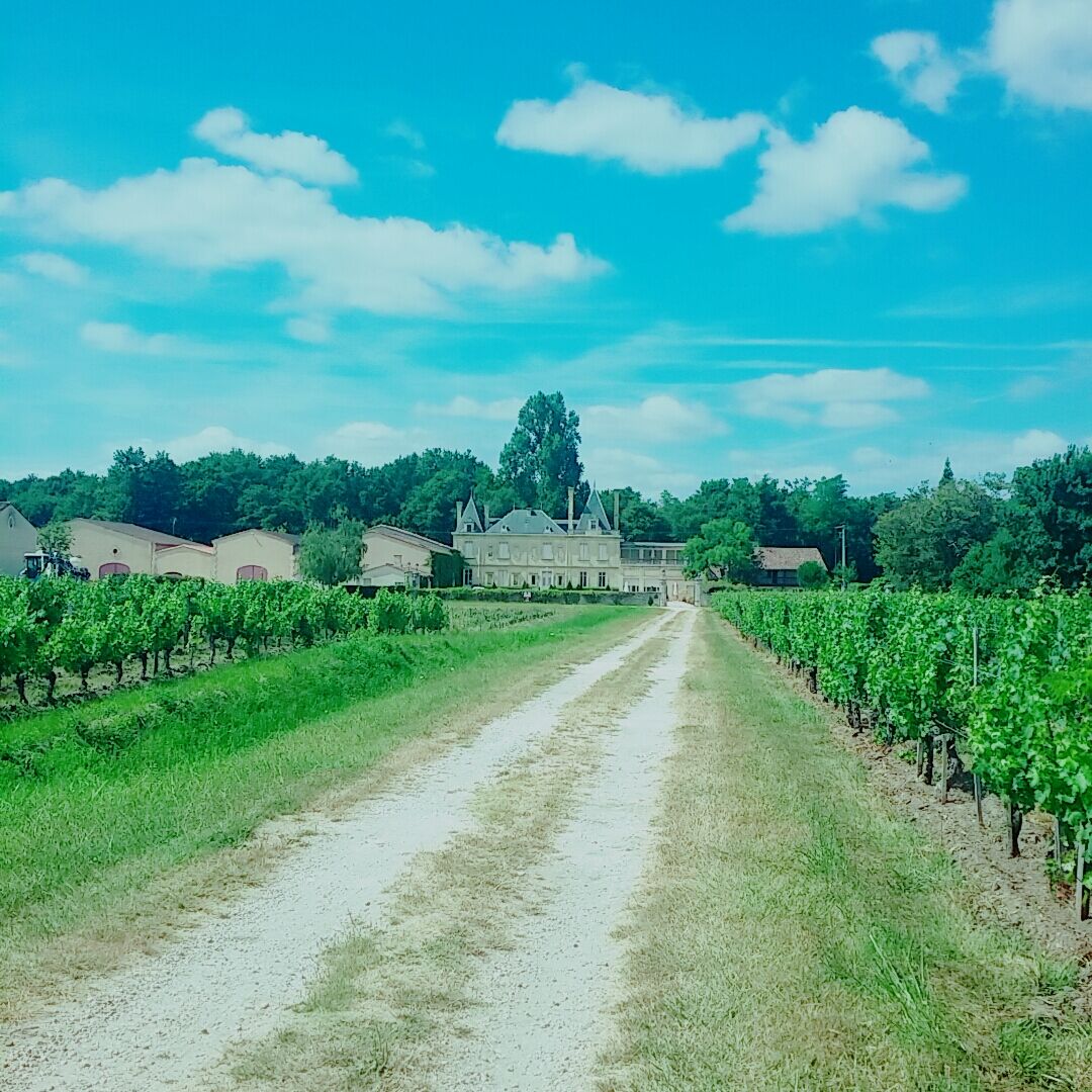 Chateau Meyre アヴァンサン エクステリア 写真